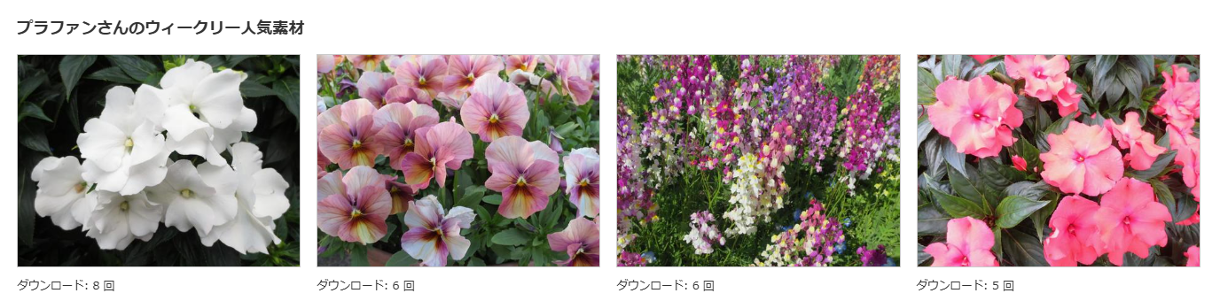 写真販売プラファン